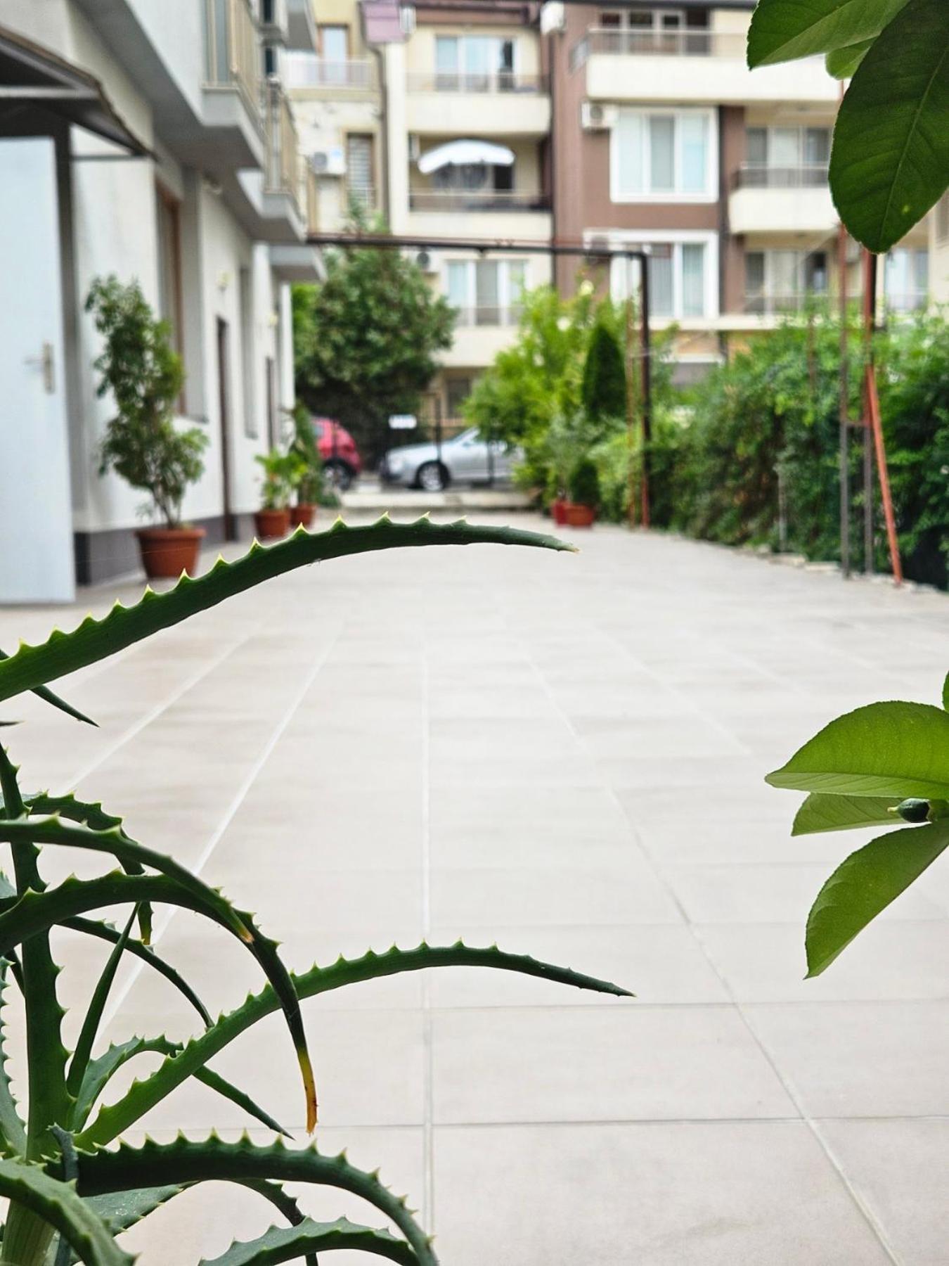 Guest House Petrovi ラヴダ エクステリア 写真